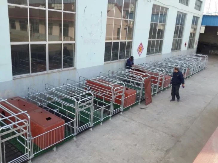 Pig Farrowing Crate