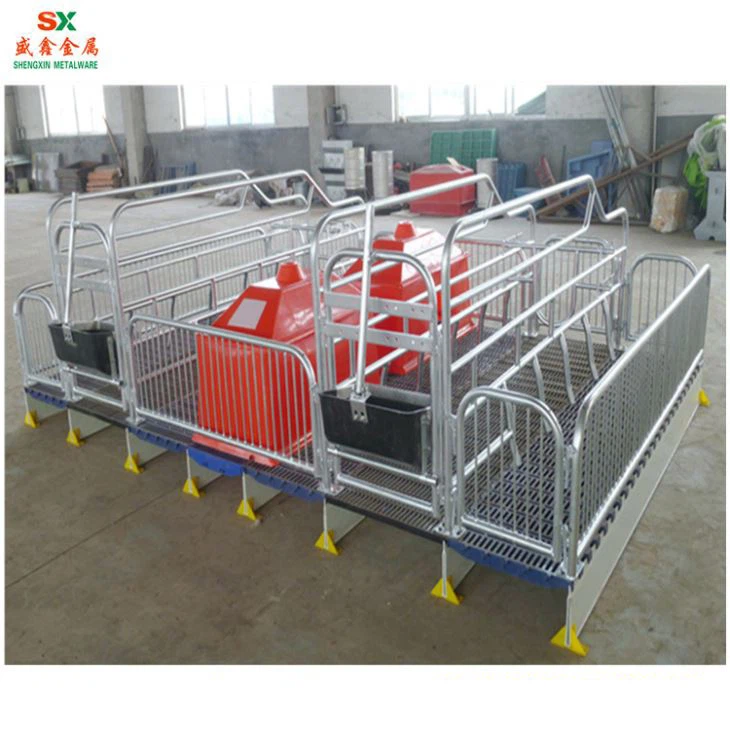 Pig Farrowing Crate